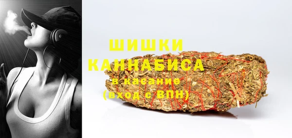 индика Ужур