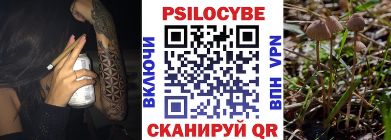 Псилоцибиновые грибы прущие грибы  Комсомольск-на-Амуре 