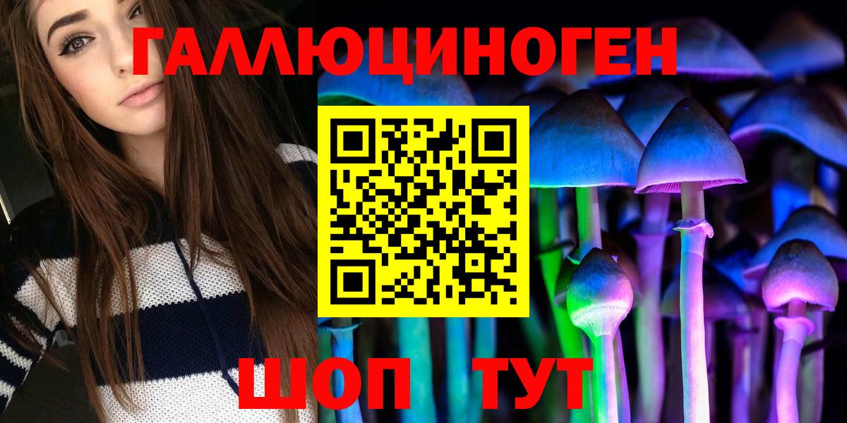 Псилоцибиновые грибы Psilocybine cubensis Комсомольск-на-Амуре